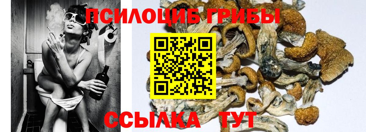 Псилоцибиновые грибы Magic Shrooms Батайск