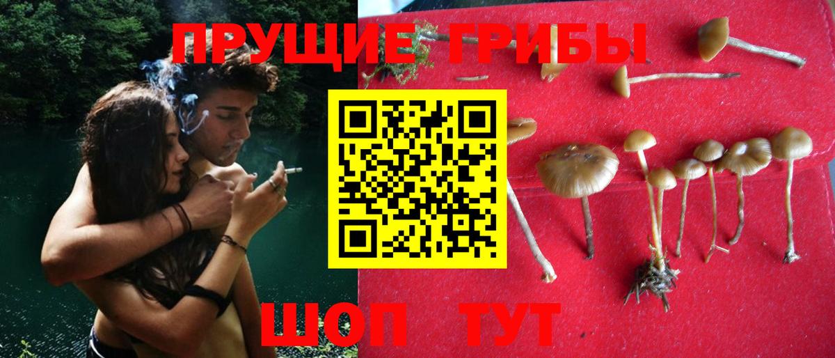 Батайск  Галлюциногенные грибы GOLDEN TEACHER  Вход с VPN 